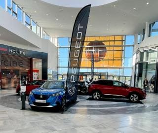 Salon de l'Auto Salon de l'Auto